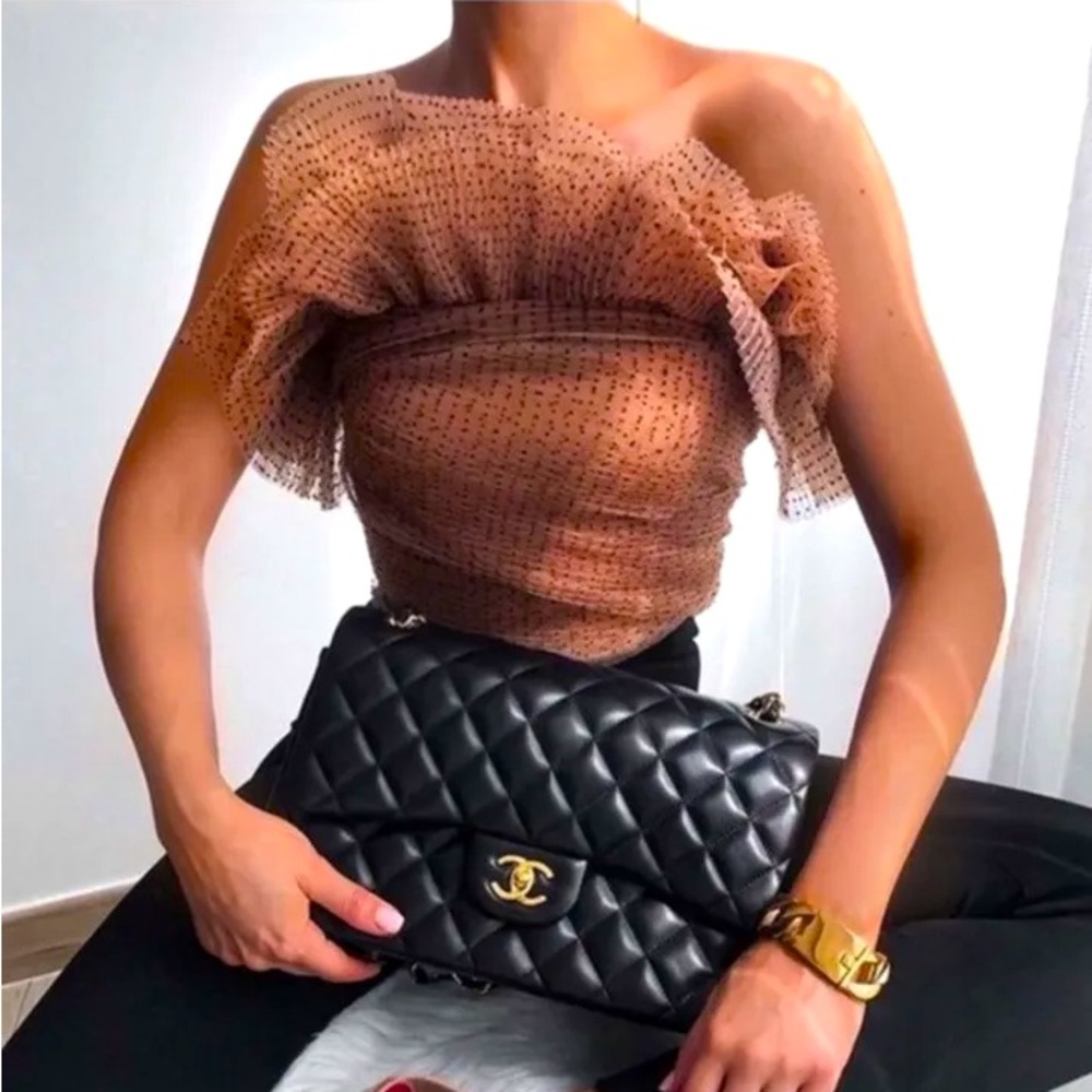 Zara Polka Dot Organza Tulle Ruffle Crop Top